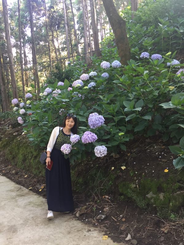 image1.jpeg